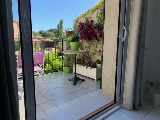 Ferienwohnung Calmeraie Plage Villeneuve-Loubet Exterior foto